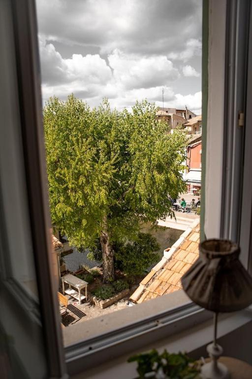La Maison Du Bassin LʼIsle-sur-la-Sorgue Екстериор снимка